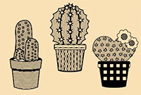 cactus line art